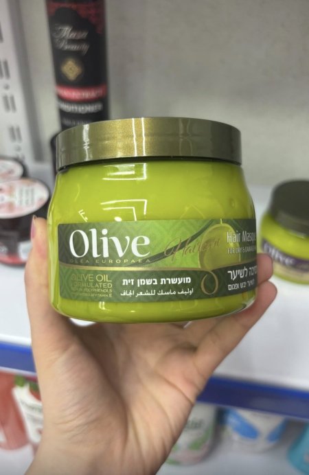 Olive Olea Europaea